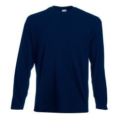 Футболка чоловіча 610380 VALUEWEIGHT LONG SLEEVE T, колір AZ - 61-038-0-AZ