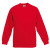 Толстовка дитяча 620390 CLASSIC RAGLAN SWEAT KIDS, колір 40 - 62-039-0-40 Толстовка дитяча 620390 CLASSIC RAGLAN SWEAT KIDS, колір 40 - 62-039-0-40