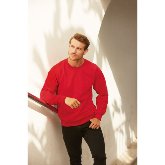 Толстовка чоловіча 621380 LIGHTWEIGHT RAGLAN SWEAT, колір 40 - 62-138-0-40