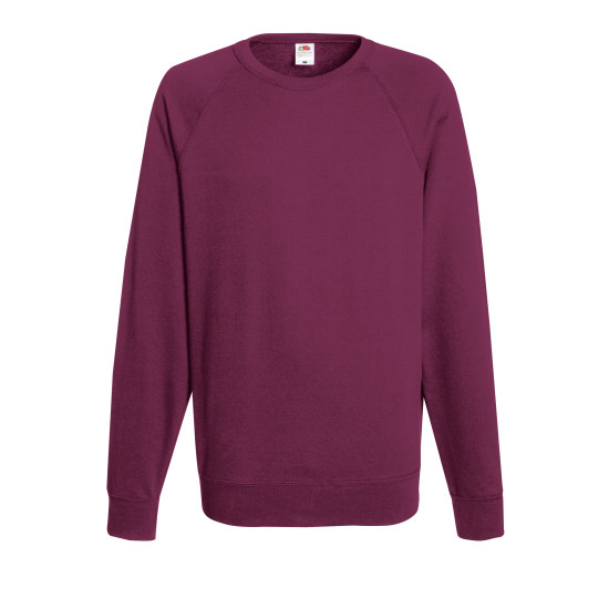 Толстовка чоловіча 621380 LIGHTWEIGHT RAGLAN SWEAT, колір 41 - 62-138-0-41