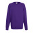 Толстовка чоловіча 621380 LIGHTWEIGHT RAGLAN SWEAT, колір PE - 62-138-0-PE Толстовка чоловіча 621380 LIGHTWEIGHT RAGLAN SWEAT, колір PE - 62-138-0-PE
