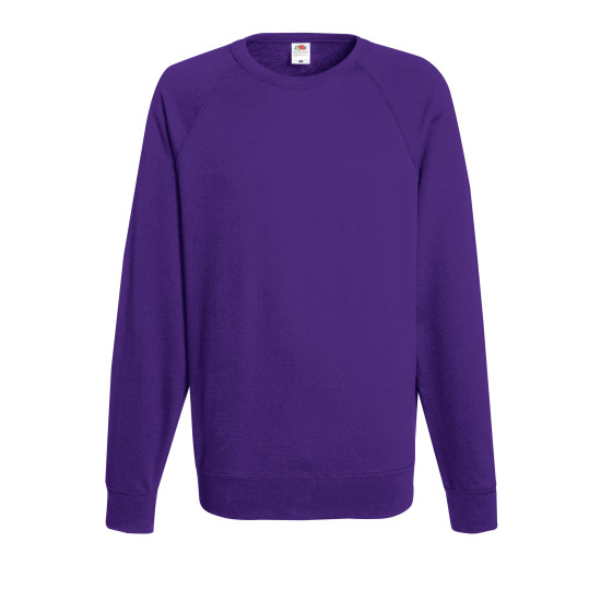 Толстовка чоловіча 621380 LIGHTWEIGHT RAGLAN SWEAT, колір PE - 62-138-0-PE