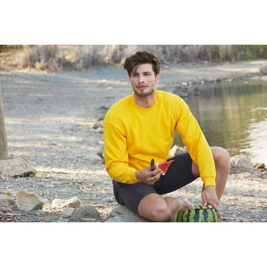 Толстовка чоловіча 622020 CLASSIC SET-IN SWEAT, колір 34 - 62-202-0-34