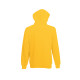 Толстовка чоловіча 622080 CLASSIC HOODED SWEAT, колір 34 - 62-208-0-34