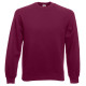 Толстовка чоловіча 622160 CLASSIC RAGLAN SWEAT, колір 41 - 62-216-0-41