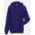 Толстовка чоловіча R-575M HOODED SWEATSHIRT, колір 81 - R-575M-0-81 Толстовка чоловіча R-575M HOODED SWEATSHIRT, колір 81 - R-575M-0-81